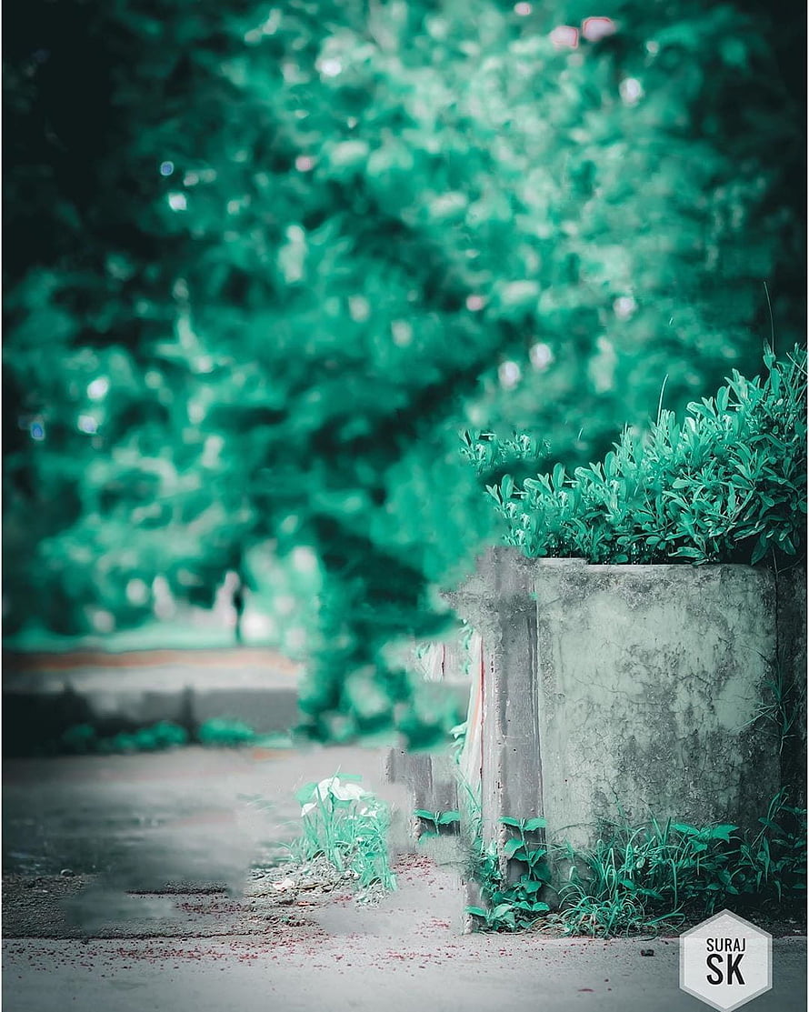 Serene Garden Path with Concrete Planter and Lush Green Foliage HD phone wallpaper
