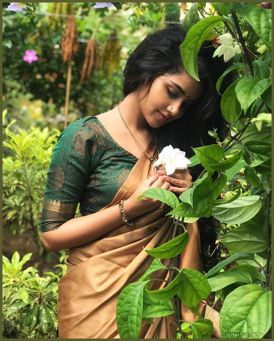 Anupama Parameswaran in a green blouse and gold sari holding a white jasmine flower in a lush garden HD phone wallpaper