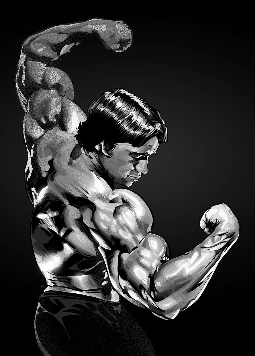 Black and White Arnold Schwarzenegger Bodybuilding Pose Illustration HD phone wallpaper