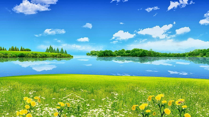 Serene Summer Meadow with Wildflowers and a Calm Lake Under a Bright Blue Sky HD wallpaper