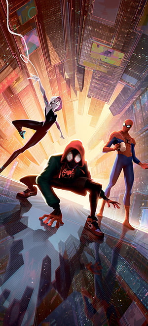 Spider-Man Across the Spider-Verse Miles Morales and Gwen Stacy on a Glass Rooftop HD phone wallpaper