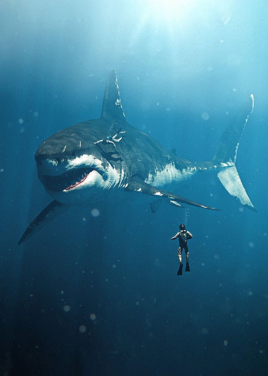 Megalodon and Scuba Diver in Deep Blue Ocean Water HD phone wallpaper