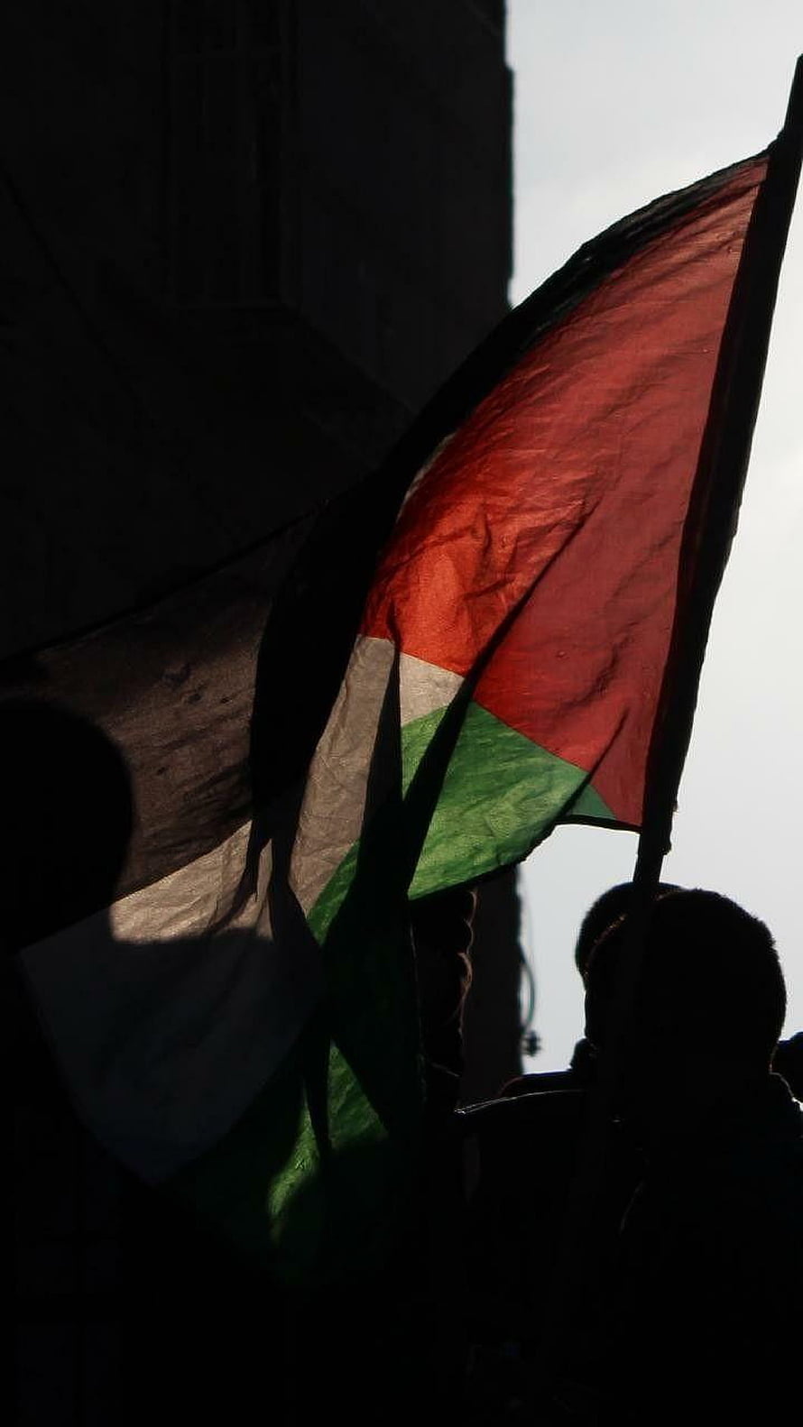 Palestinian Flag Waving Silhouetted Against Dark Building at Dusk HD phone wallpaper
