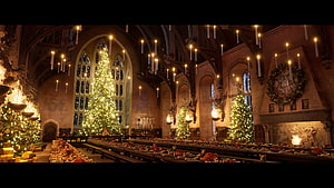 Hogwarts Great Hall Christmas Feast with Glowing Trees and Candlelight HD wallpaper