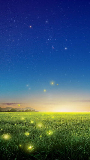 Fireflies glowing in a green meadow under a starry night sky with distant mountains HD phone wallpaper