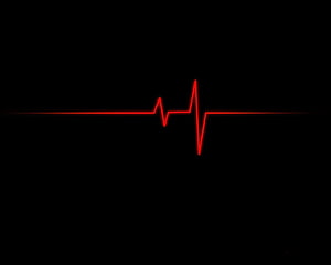 Minimalist Red ECG Heartbeat Pulse Line on Black Background HD wallpaper