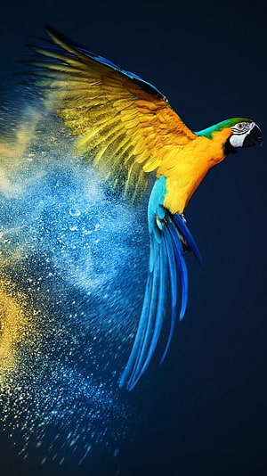 Vibrant Macaw in Flight with Dynamic Blue and Gold Particle Trail Against Dark Background HD phone wallpaper