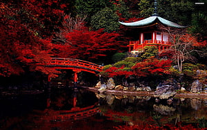 Traditional Japanese Temple and Red Arched Bridge in Autumn Foliage HD wallpaper