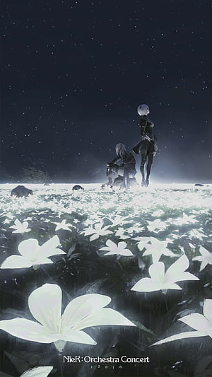 NieR: Automata 2B and 9S in a Field of White Lilies Under a Starry Night Sky HD phone wallpaper