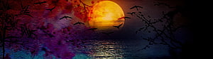 Full Moon Over Water With Bats And Blossoms In A Dark Fantasy Landscape HD wallpaper
