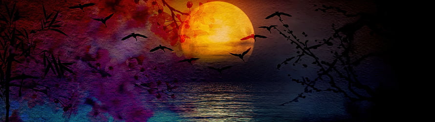 Full Moon Over Water With Bats And Blossoms In A Dark Fantasy Landscape HD wallpaper