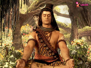 Devon Ke Dev Mahadev Shiva Meditating in Forest with Snake and Rudraksha HD wallpaper