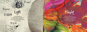 Left Brain vs Right Brain Concept Art with Einstein Portrait and Colorful Abstract Paint Splashes HD wallpaper