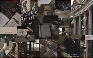 Dark Academia Aesthetic Collage Featuring Vintage Books, Library Interiors, and Literary Quotes HD wallpaper