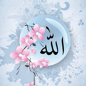 Elegant Arabic Calligraphy of Allah with Pink Blossoms on a Soft Blue Background HD phone wallpaper