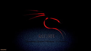 Kali Linux Operating System Hacking and Security Dark Red Dragon Logo Wallpaper HD wallpaper