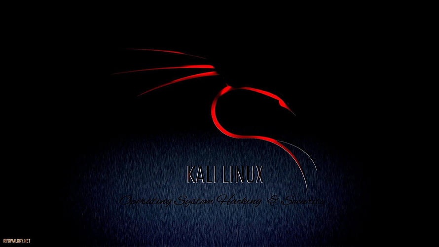 Kali Linux Operating System Hacking and Security Dark Red Dragon Logo Wallpaper HD wallpaper
