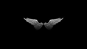 Silver Angel Wings Emblem on Black Background Minimalist Design HD wallpaper