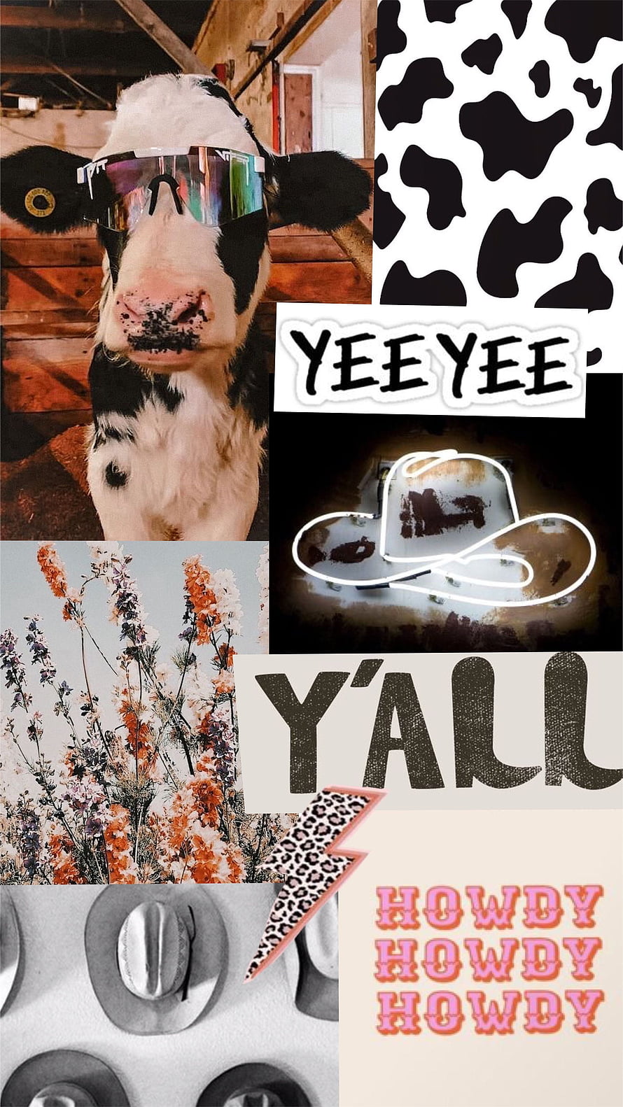Cowgirl Aesthetic Collage Featuring Texas Western Style Elements and Country Vibes HD phone wallpaper