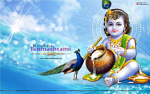 Baby Krishna Stirring Butter with Peacock on Krishna Janmashtami Festival HD wallpaper