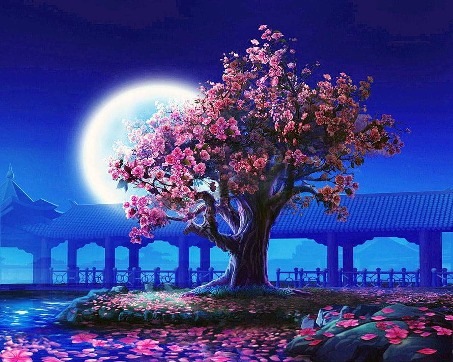 Cherry Blossom Tree Under Full Moon in Japanese Garden at Night HD wallpaper