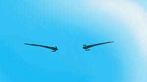 Rimuru Tempest Anime Eyes Close Up on Blue Background HD wallpaper