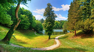 Serene Park Landscape with Winding Path and Central Pond Under Blue Sky HD wallpaper