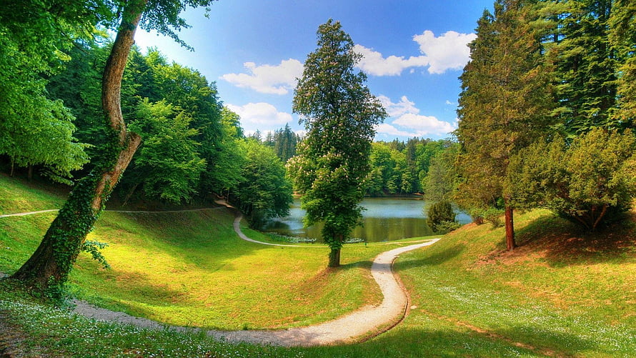 Serene Park Landscape with Winding Path and Central Pond Under Blue Sky HD wallpaper