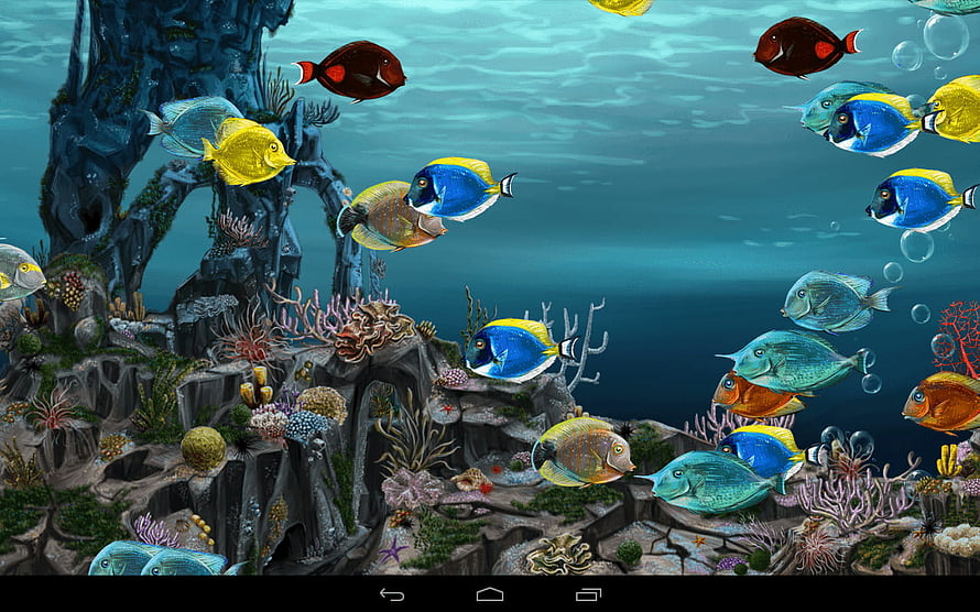 Vibrant 3D Animated Underwater Scene With Colorful Tropical Fish And Coral Reef HD wallpaper