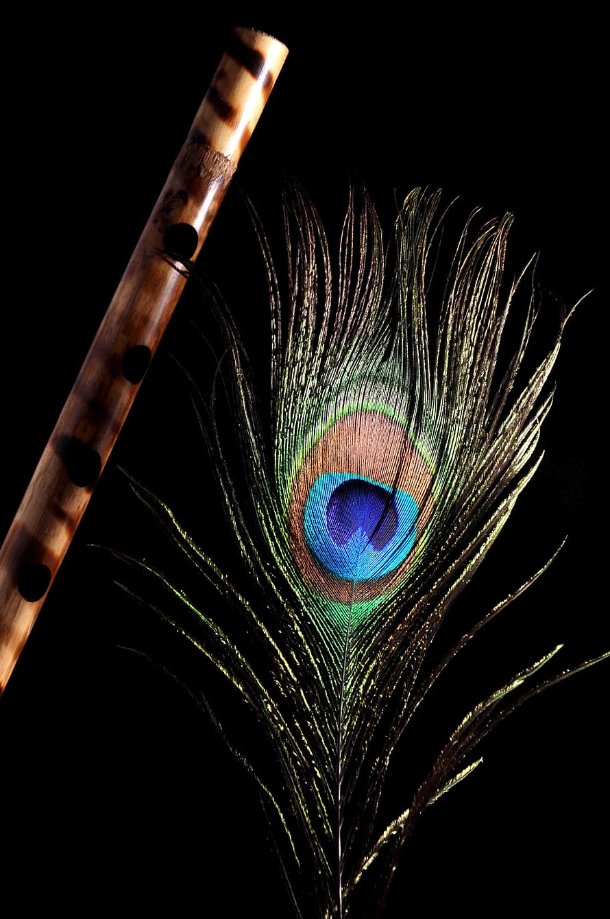 Iridescent Peacock Feather and Bamboo Flute on Black Background HD phone wallpaper