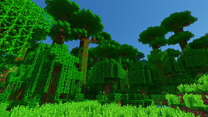 Minecraft Jungle Biome with Tall Trees and Lush Green Foliage Under a Clear Blue Sky HD wallpaper