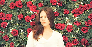 Lana Del Rey Portrait Against a Vibrant Wall of Red Roses HD wallpaper