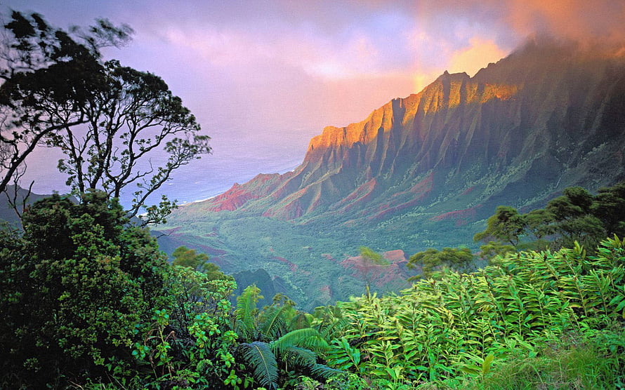 Dramatic Coastal Mountain Range at Sunset with Lush Tropical Foliage and Ocean View HD wallpaper