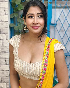 Sofia Ansari in a yellow and cream embroidered sari with traditional jhumka earrings HD phone wallpaper