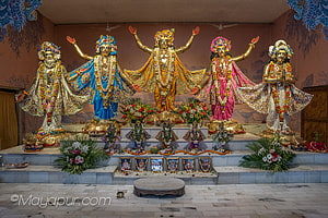 Five ornate deities adorned with garlands and floral offerings at a Mayapur temple altar HD wallpaper