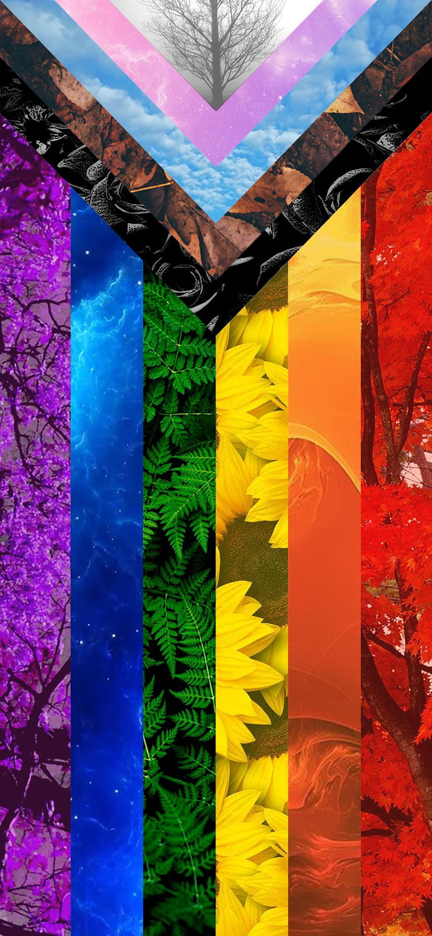 Vibrant Rainbow Nature Collage with Purple Blossoms, Blue Sky, Green Ferns, Yellow Sunflowers, and Red Autumn Leaves HD phone wallpaper