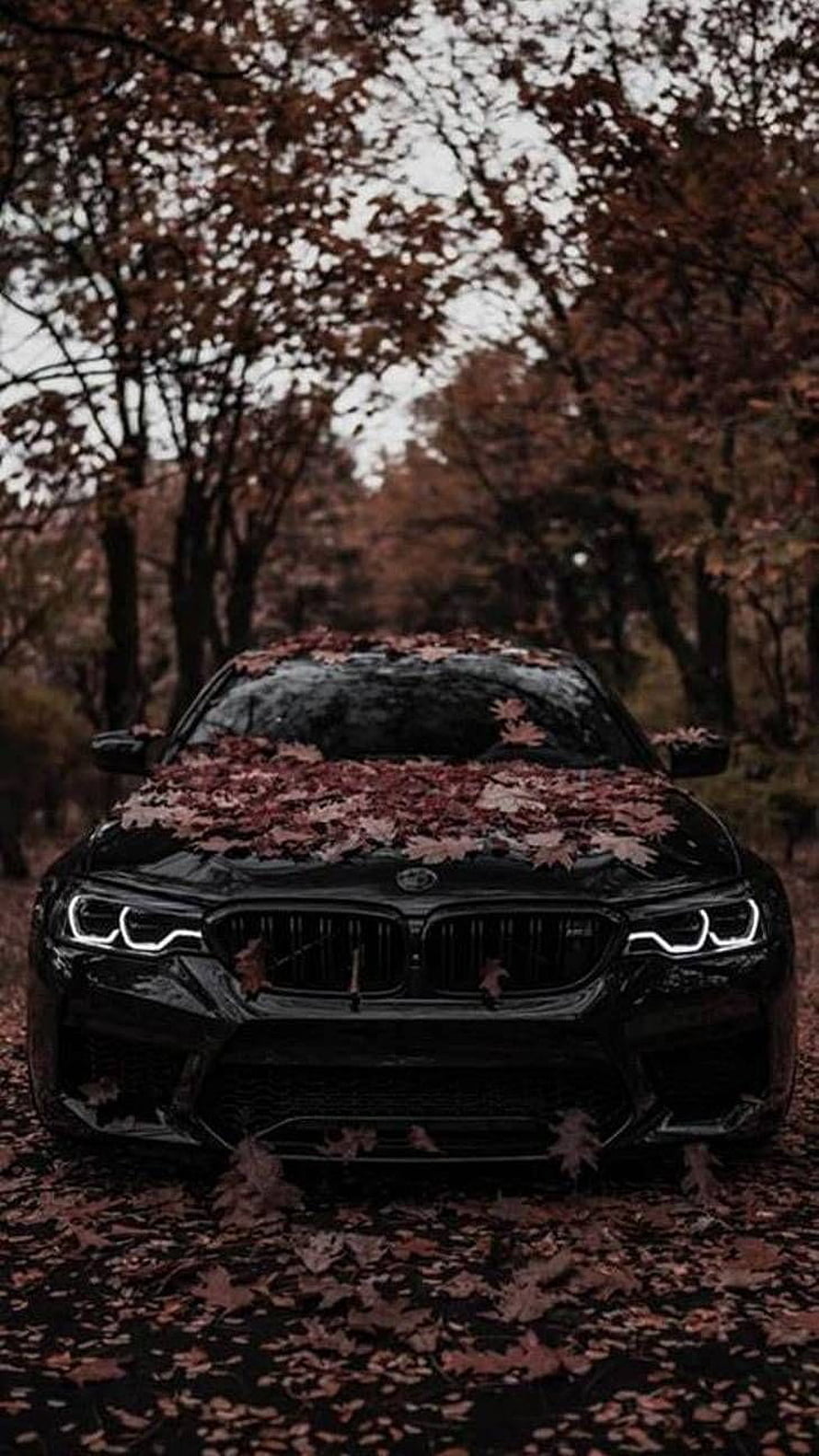 Black BMW M5 Covered in Autumn Leaves on a Forest Road HD phone wallpaper