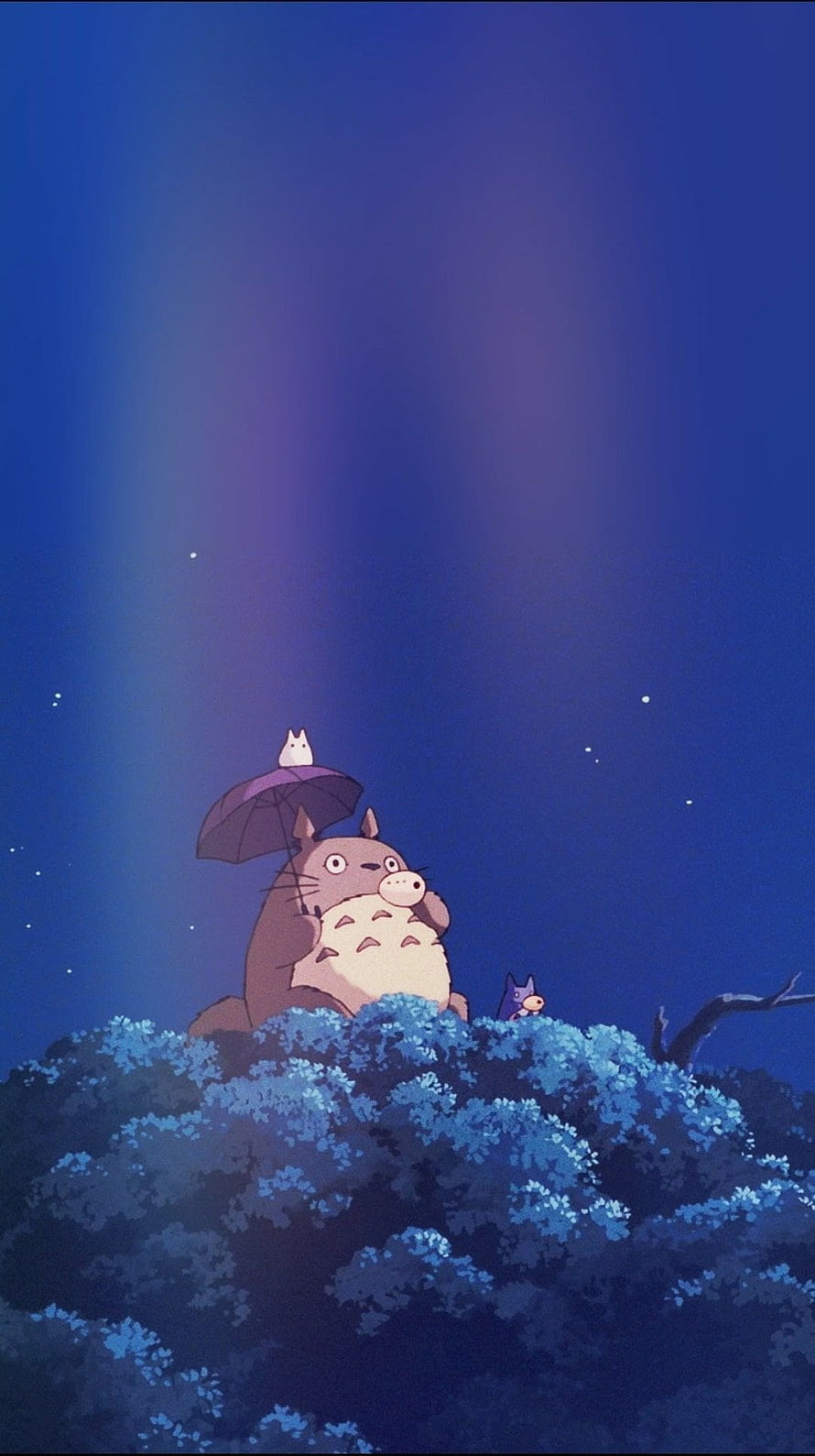 Totoro and Friends Under an Umbrella in a Starry Night Forest HD phone wallpaper