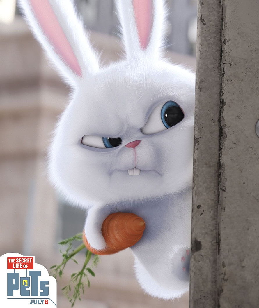 Snowball the White Rabbit from The Secret Life of Pets Holding a Carrot HD phone wallpaper