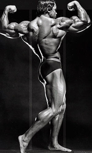 Arnold Schwarzenegger Classic Bodybuilding Pose in Black and White HD phone wallpaper