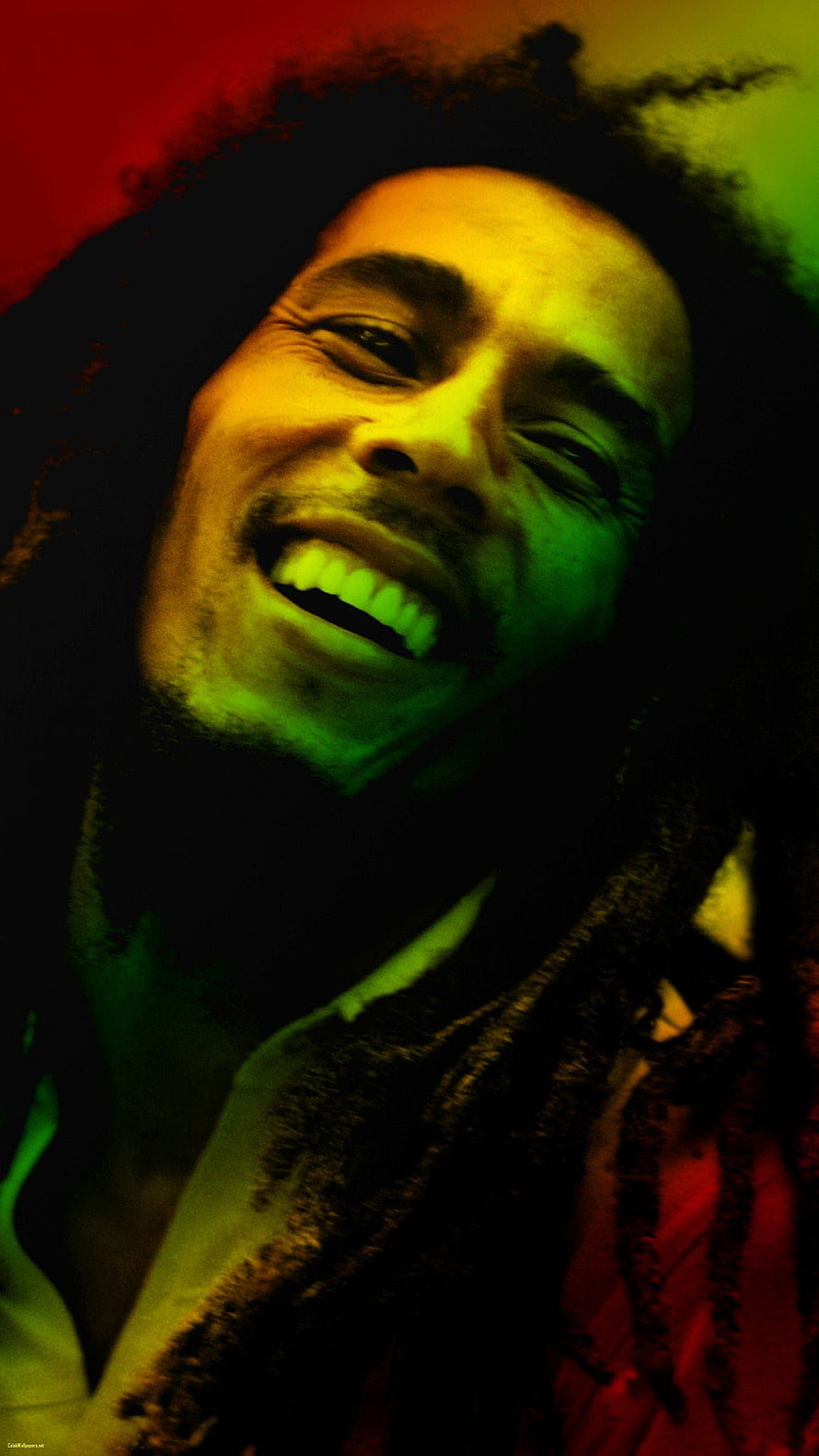Bob Marley Reggae Portrait with Rasta Colors and Dreads HD phone wallpaper
