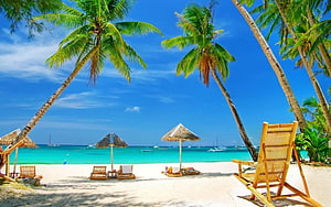 Tropical Beach Scene with Palm Trees, Thatched Umbrellas, and Bamboo Loungers HD wallpaper