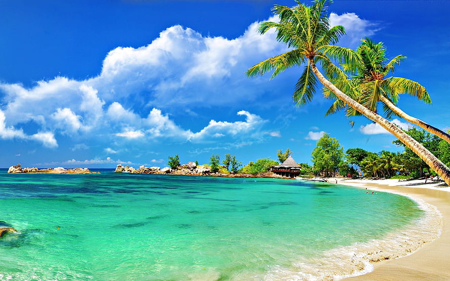 Tropical Island Beach with Turquoise Water, Leaning Palm Trees, and White Sand Under a Blue Sky HD wallpaper