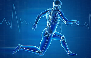 Blue X-Ray Human Skeleton Running with ECG Heartbeat Line on Medical Grid Background HD wallpaper
