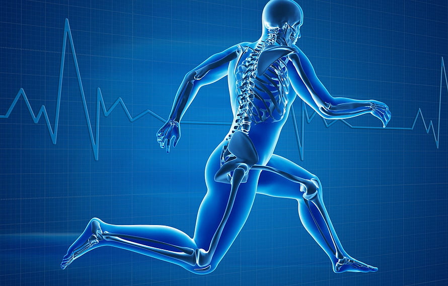 Blue X-Ray Human Skeleton Running with ECG Heartbeat Line on Medical Grid Background HD wallpaper