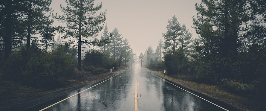 Moody Wet Highway Cutting Through a Misty Pine Forest on an Overcast Day HD wallpaper