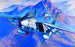 Grumman F-14 Tomcat Fighter Jets in Dynamic Mountain Flight HD wallpaper