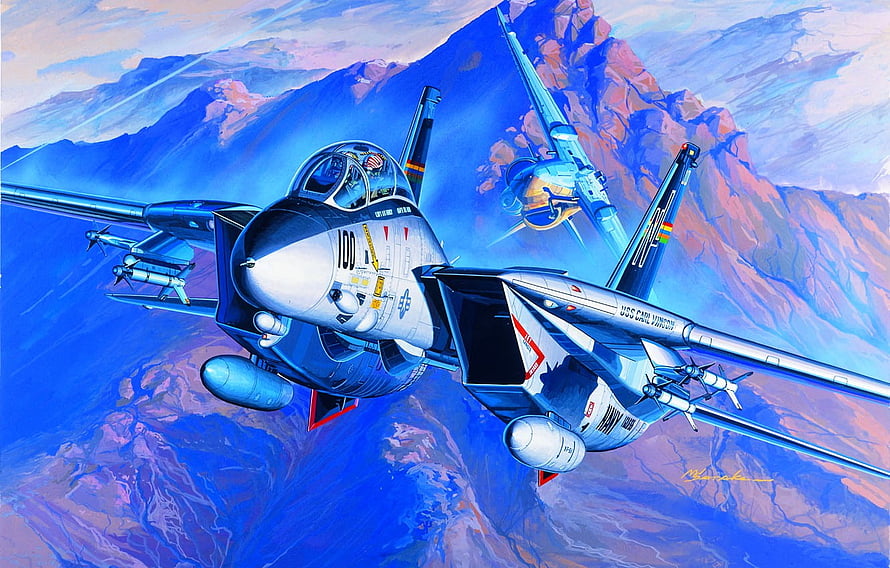 Grumman F-14 Tomcat Fighter Jets in Dynamic Mountain Flight HD wallpaper