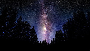 Milky Way Galaxy Rising Over Dark Pine Forest Silhouette at Night HD wallpaper