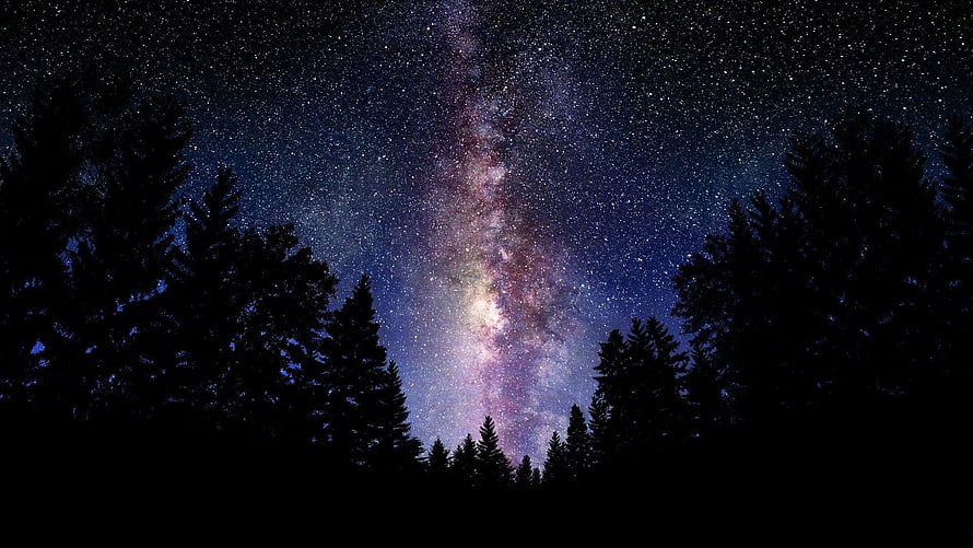 Milky Way Galaxy Rising Over Dark Pine Forest Silhouette at Night HD wallpaper